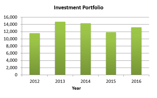 Investment Portfolio