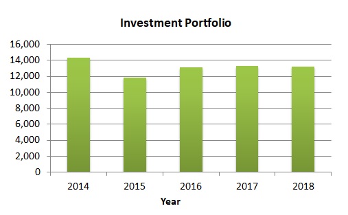 Investment Portfolio