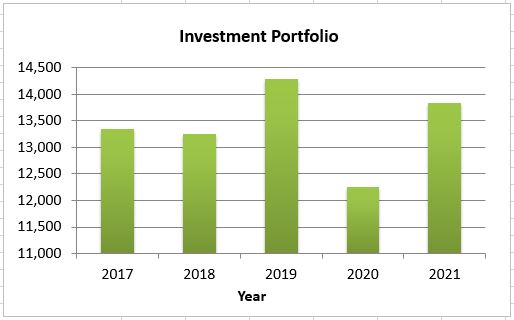 Investment Portfolio