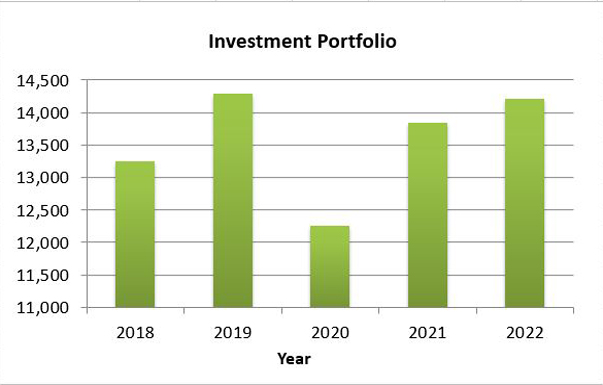 Investment Portfolio