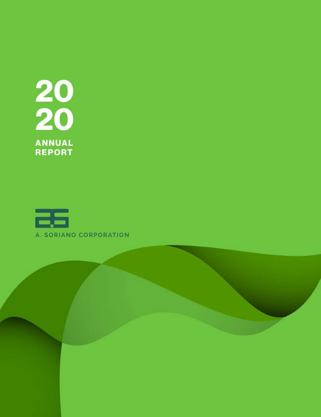 2020 annual report