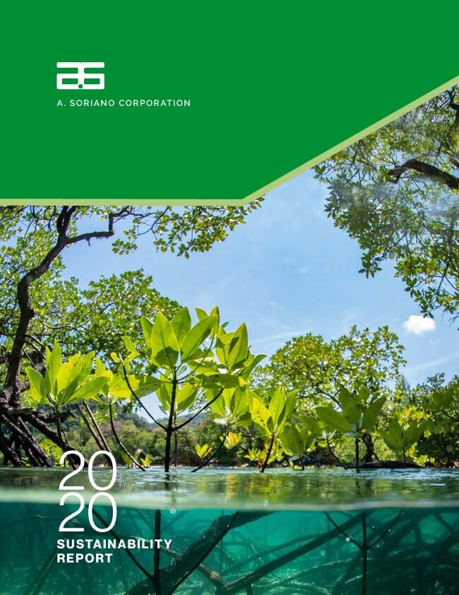 Anscor Group SR 2020